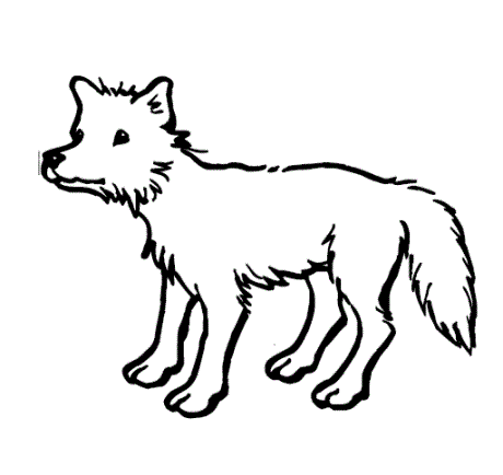 Dibujos de lobos para colorear » LOBOPEDIA